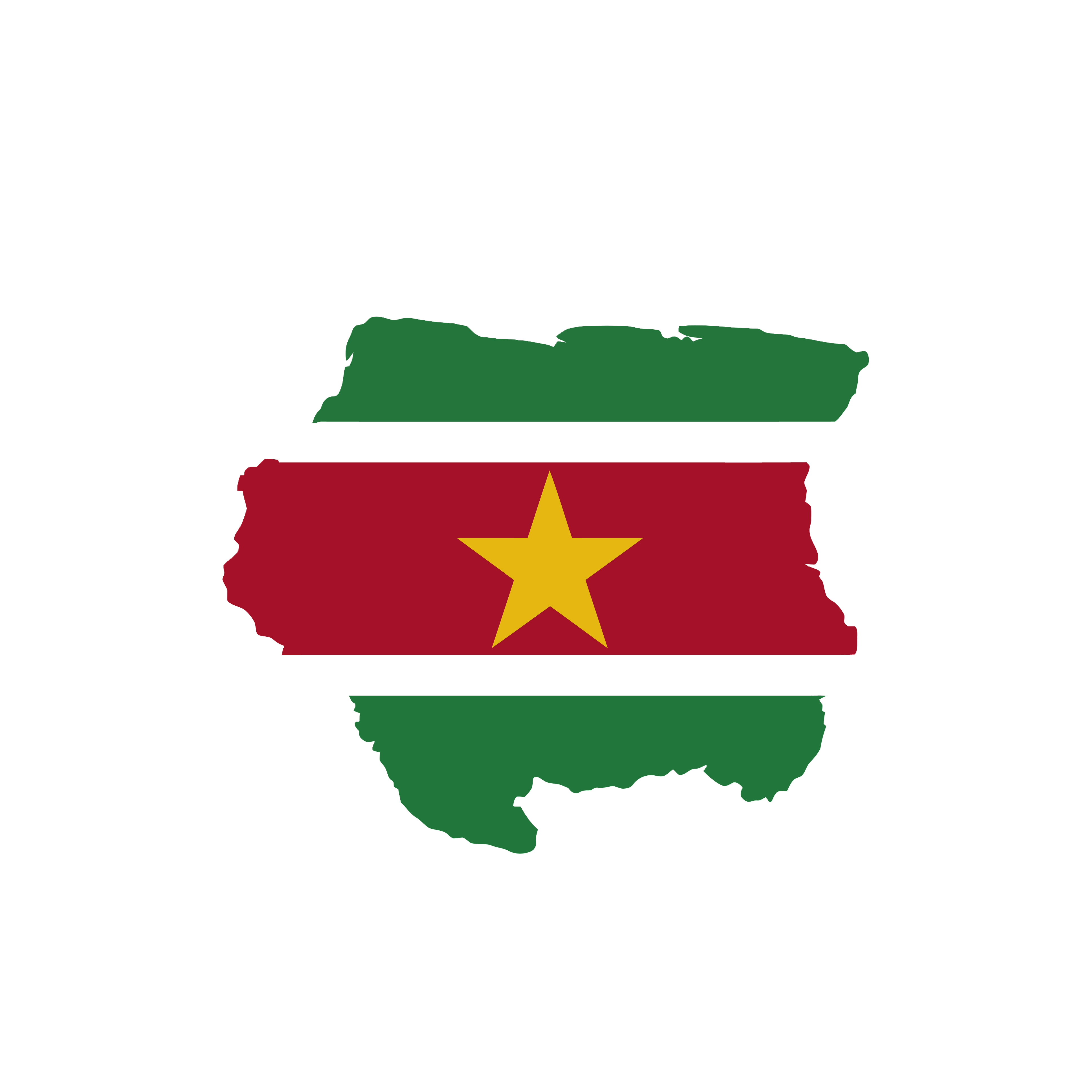 Suriname Flag